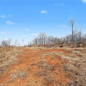 Photo #11 of HOLDER INMAN, Randleman, NC 12.6 acres