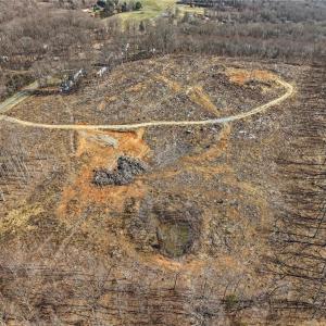 Photo #19 of HOLDER INMAN, Randleman, NC 12.6 acres