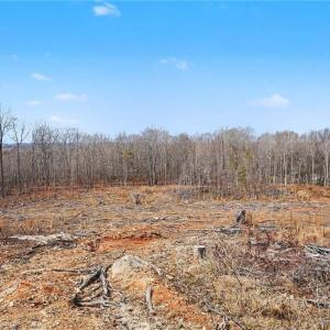 Photo #4 of HOLDER INMAN, Randleman, NC 12.6 acres