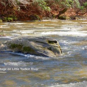 Photo #2 of 5-6 Roby Fulk, Pinnacle, NC 20.2 acres