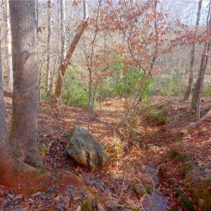 Photo #26 of 5-6 Roby Fulk, Pinnacle, NC 20.2 acres