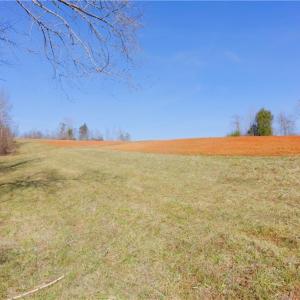 Photo #1 of 5-6 Roby Fulk, Pinnacle, NC 20.2 acres
