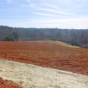 Photo #20 of 5-6 Roby Fulk, Pinnacle, NC 20.2 acres