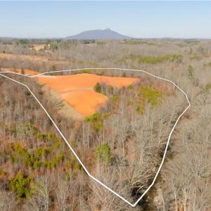Photo #4 of 5-6 Roby Fulk, Pinnacle, NC 20.2 acres
