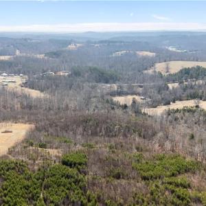 Photo #2 of Moir Farm, Lawsonville, NC 62.9 acres