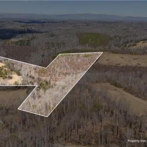 Photo #8 of Moir Farm, Lawsonville, NC 62.9 acres