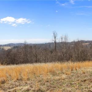 Photo #11 of Moir Farm, Lawsonville, NC 62.9 acres