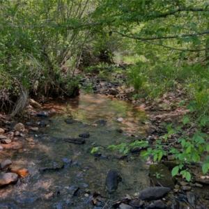 Beautiful creek through the property!