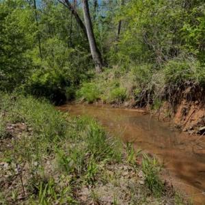 Photo #7 of Moir Farm, Lawsonville, NC 62.9 acres
