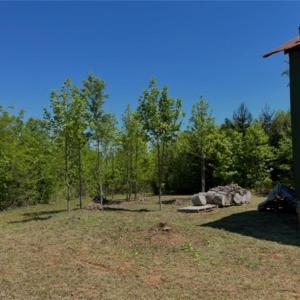 Photo #3 of Moir Farm, Lawsonville, NC 62.9 acres