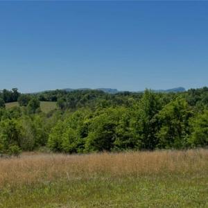 Perfect location to build your dream home!