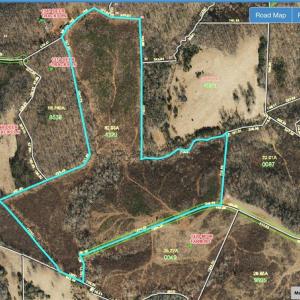 Here you can see the many cut trails…