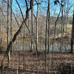 Photo #2 of 11.05 ACRES Elmore, Leasburg, NC 11.1 acres