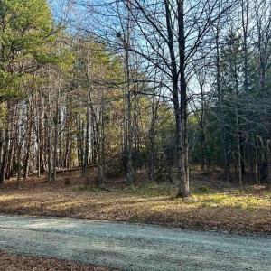 Photo #3 of 11.05 ACRES Elmore, Leasburg, NC 11.1 acres