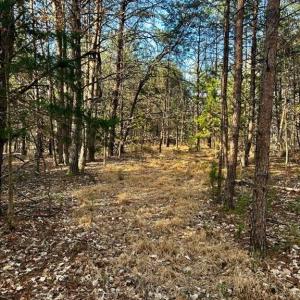 Photo #5 of 11.05 ACRES Elmore, Leasburg, NC 11.1 acres