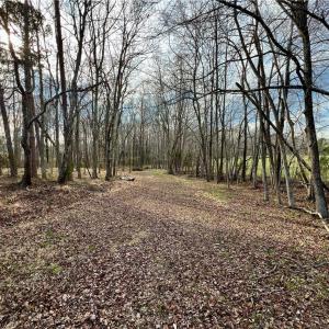 Photo #2 of Old Greensboro, Thomasville, NC 19.4 acres