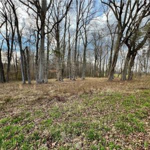 Photo #5 of Old Greensboro, Thomasville, NC 19.4 acres