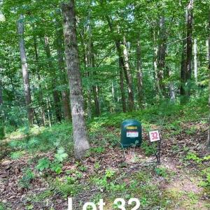 Photo #1 of Lot 32 Reserve Stuart, Stuart, VA 0.4 acres