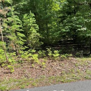Photo #1 of Lot 22 Woods Haven, Stuart, VA 0.7 acres