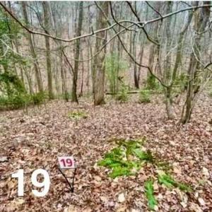 Photo #1 of LOT 19 Woods Haven, Stuart, VA 0.6 acres