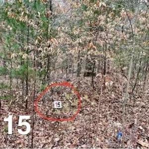 Photo #1 of LOT 15 Woods Haven, Stuart, VA 0.4 acres