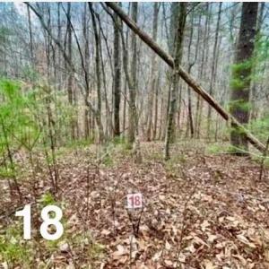 Photo #1 of Lot 18 Woods Haven, Stuart, VA 0.4 acres