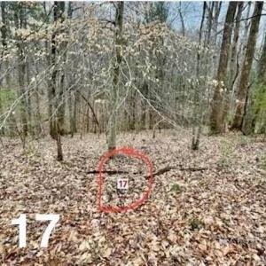Photo #1 of LOT 17 Woods Haven, Stuart, VA 0.4 acres