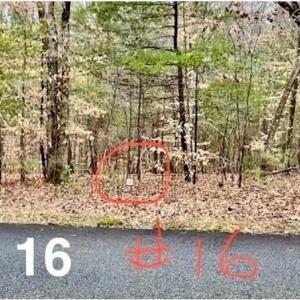 Photo #1 of Lot 16 Woods Haven, Stuart, VA 0.4 acres