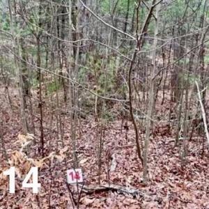 Photo #1 of LOT 14 Woods Haven, Stuart, VA 0.6 acres