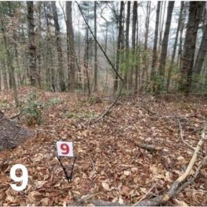 Photo #1 of LOT 9 Woods Haven, Stuart, VA 0.4 acres