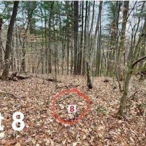 Photo #1 of Lot 8 Woods Haven, Stuart, VA 0.4 acres