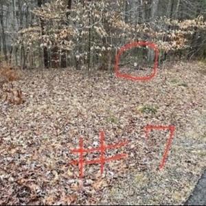 Photo #1 of Lot 7 Woods Haven, Stuart, VA 0.5 acres