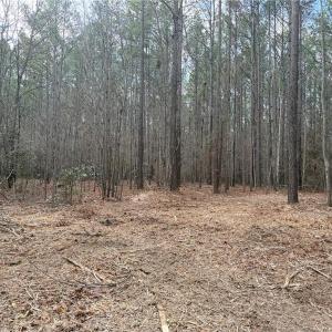 Photo #23 of Lot 8 Thompson, Seagrove, NC 11.0 acres