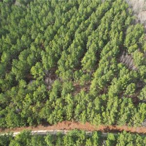 Photo #27 of Lot 8 Thompson, Seagrove, NC 11.0 acres