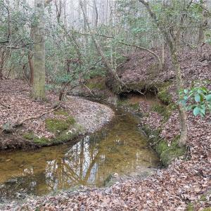 Photo #2 of Lot 8 Thompson, Seagrove, NC 11.0 acres