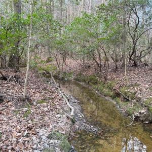 Photo #6 of Lot 8 Thompson, Seagrove, NC 11.0 acres