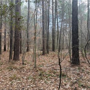 Photo #13 of Lot 8 Thompson, Seagrove, NC 11.0 acres