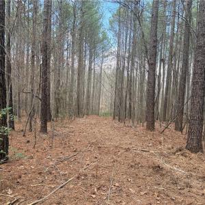Photo #17 of Lot 8 Thompson, Seagrove, NC 11.0 acres