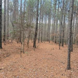 Photo #16 of Lot 8 Thompson, Seagrove, NC 11.0 acres