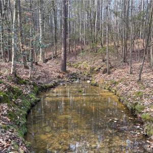 Photo #12 of Lot 8 Thompson, Seagrove, NC 11.0 acres