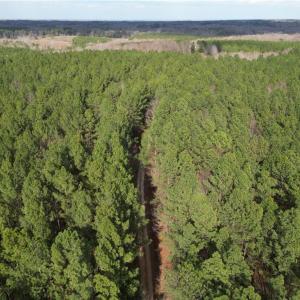 Photo #26 of Lot 8 Thompson, Seagrove, NC 11.0 acres