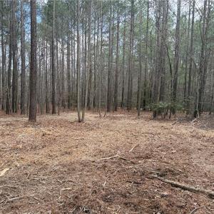 Photo #22 of Lot 8 Thompson, Seagrove, NC 11.0 acres