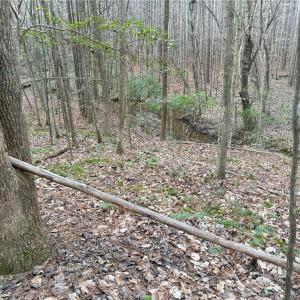 Photo #7 of Lot 8 Thompson, Seagrove, NC 11.0 acres