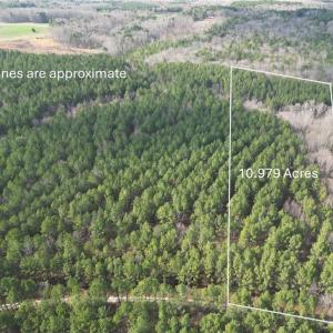 Photo #1 of Lot 8 Thompson, Seagrove, NC 11.0 acres