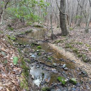 Photo #5 of Lot 8 Thompson, Seagrove, NC 11.0 acres