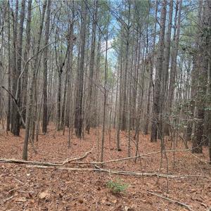 Photo #20 of Lot 8 Thompson, Seagrove, NC 11.0 acres
