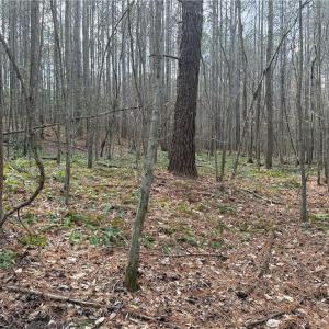 Photo #9 of Lot 8 Thompson, Seagrove, NC 11.0 acres
