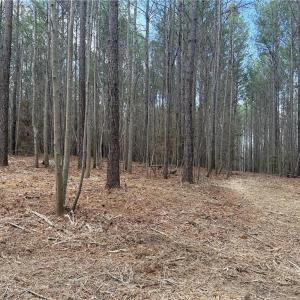 Photo #24 of Lot 8 Thompson, Seagrove, NC 11.0 acres