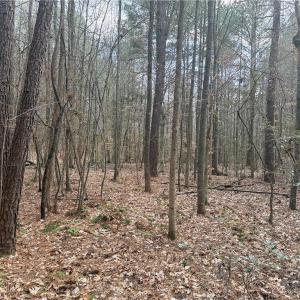 Photo #14 of Lot 8 Thompson, Seagrove, NC 11.0 acres
