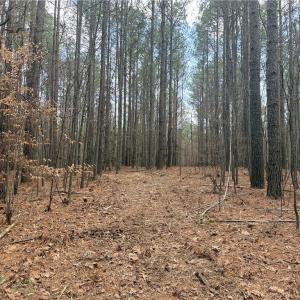 Photo #18 of Lot 8 Thompson, Seagrove, NC 11.0 acres